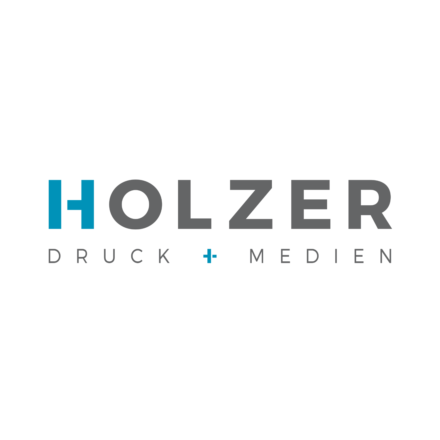 Logo von Holzer Druck und Medien Druckerei und Zeitungsverlag GmbH & Co. KG